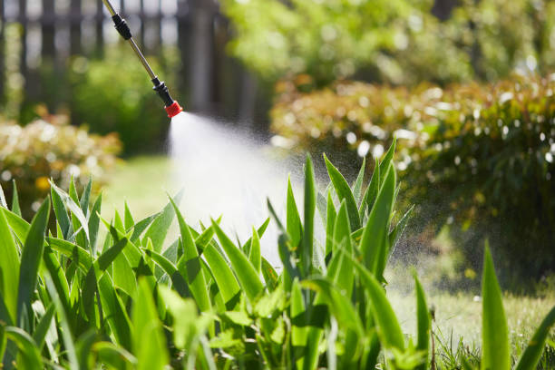 24/7 Emergency Wasp Removal experts in Hebron, OH