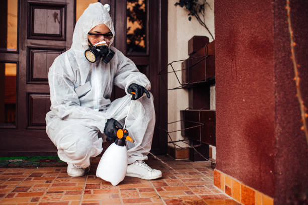 Reliable Wasp Removal contractor in Hebron, OH by Show Me Pest Control